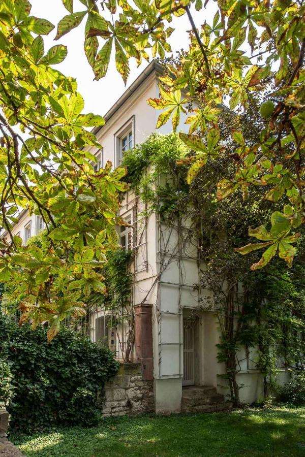 Ferienwohnung am Dom Naumburg  Exterior foto