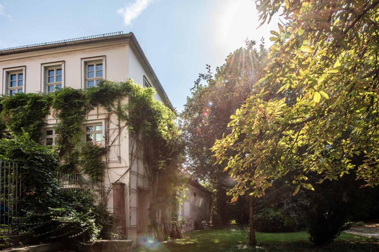 Ferienwohnung am Dom Naumburg  Exterior foto